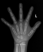 而这些要素正在分歧个别间差别 